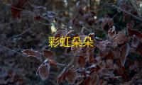 彩虹朵朵
